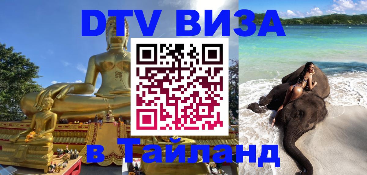 Сколько стоит DTV виза — актуальные цены, оформление даже без документов - 